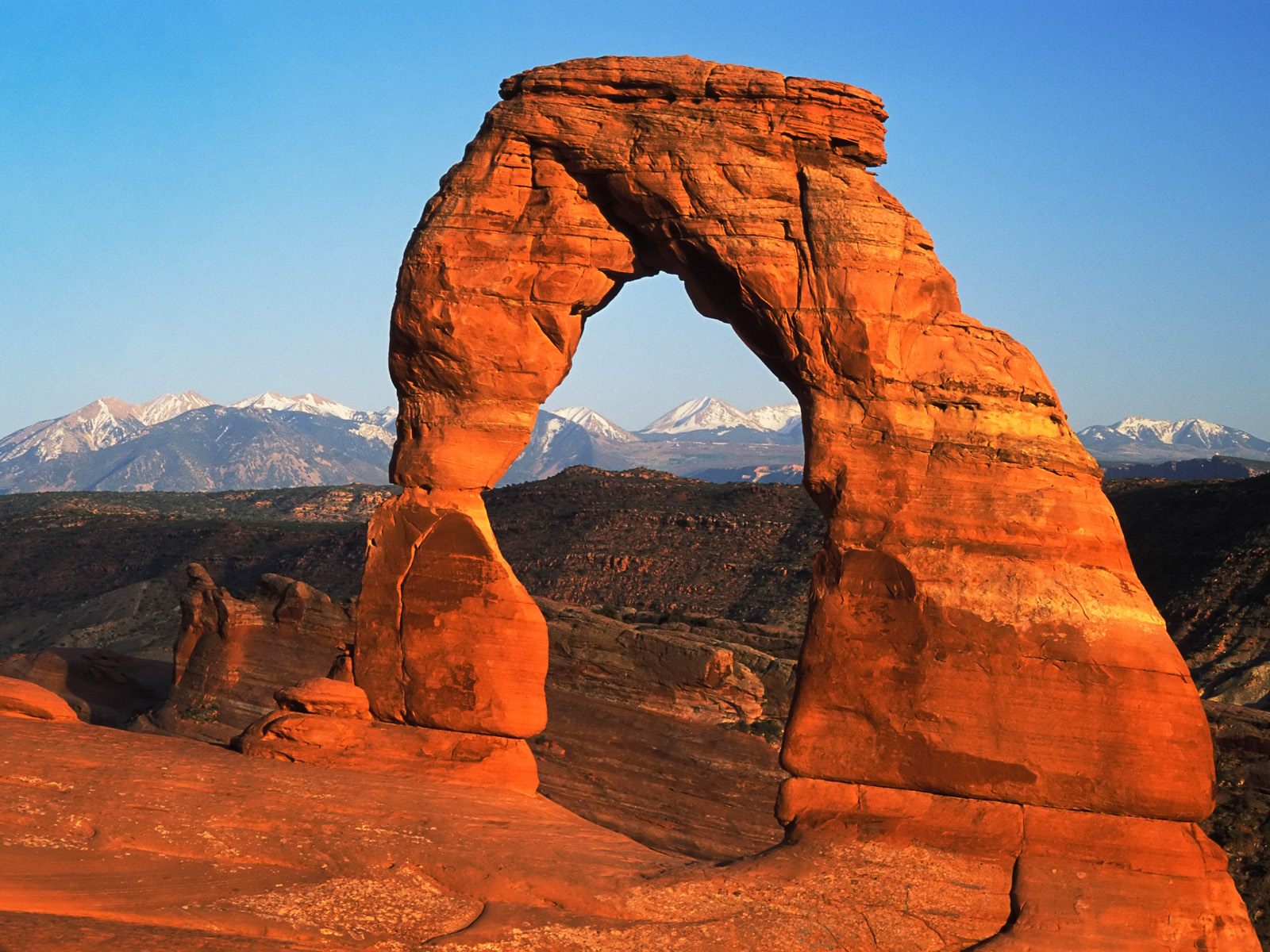http://fruitfly.files.wordpress.com/2008/11/delicate-arch-arches-national-park-utah.jpg